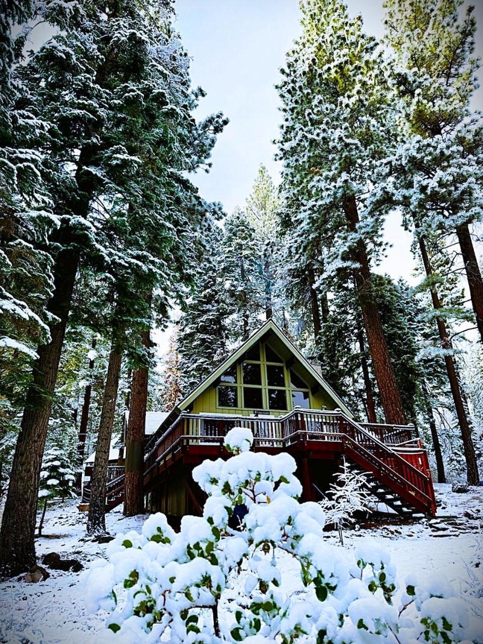 The Honey Bear Cabin Carnelian Bay Экстерьер фото