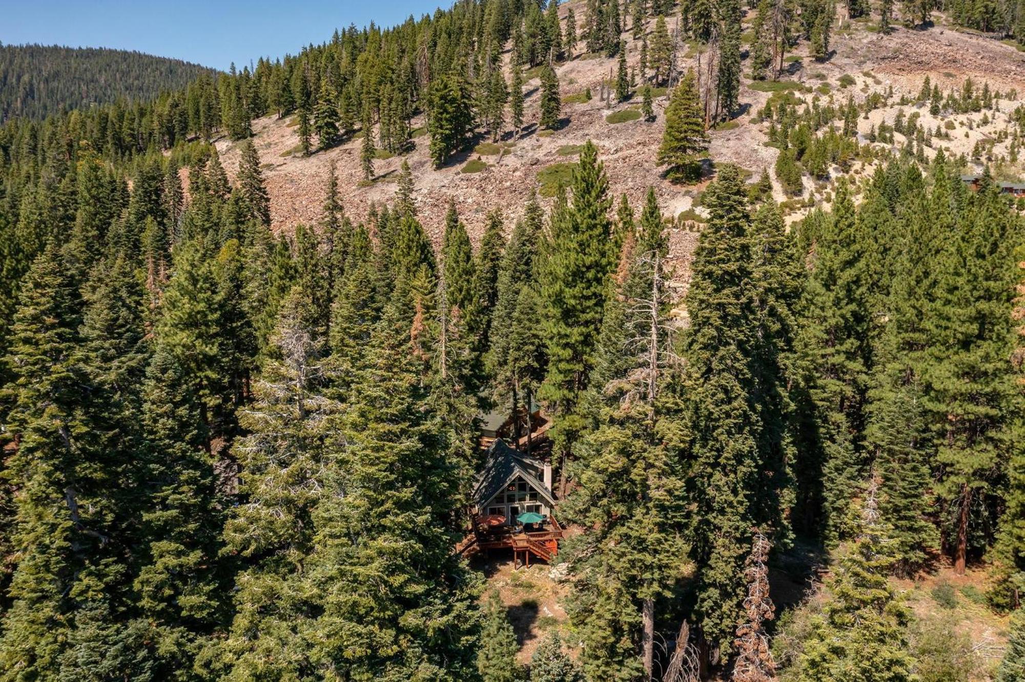The Honey Bear Cabin Carnelian Bay Экстерьер фото